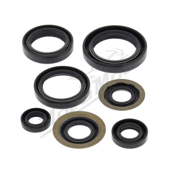 Winderosa (vertex) set (set) of engine seals Yamaha YFB 250FW Timberwolf 94–00