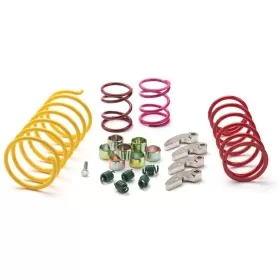 EPI Sport Utility Clutch Kit Polaris Scrambler 1000 4x4