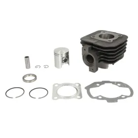 Maxtuned Engine Cylinder Peugeot Ludix / New Vivacity / Vivacity 50 04-17