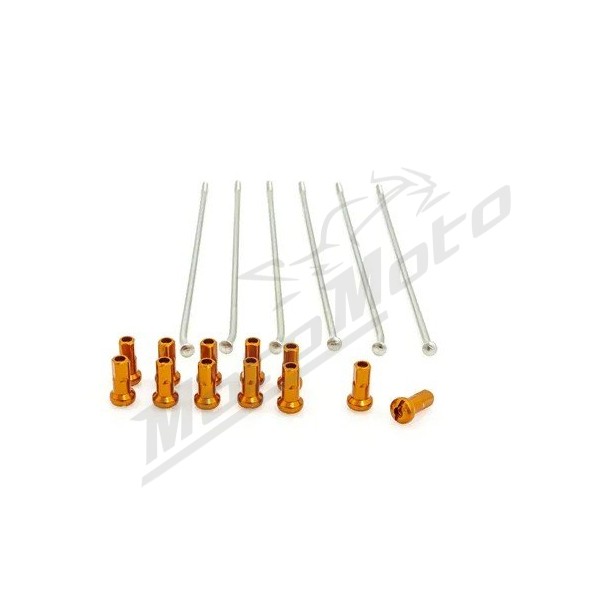 KITE Rear Wheel Spoke And Nipple Replacement Kit Silver 19" 12pcs.