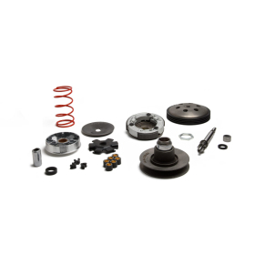 Over range kit MALOSSI MHR Piaggio Ciao / Si / Bravo / Boss 50 78-05 AIR 2T
