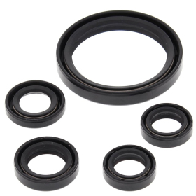 Winderosa (vertex) set (set) of engine seals Yamaha YFZ 450 R / X 09-19