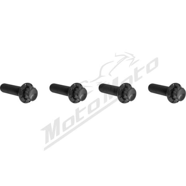 ARLEN NESS Transmission Top Cover Bolt Kit Black Harley Davidson FLTRX / FLFB / FLHX / FLHXU 1868-1983 24-26
