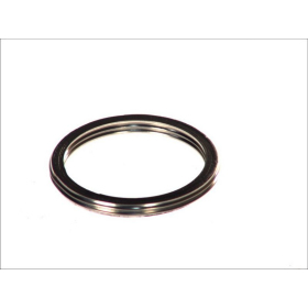 ATHENA Duslintuvų tarpinė Suzuki LS / VL / VS / VX 600-1400 85-16