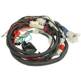 Wiring harness CHINESE SCOOTER GY6 50cc 4T R10