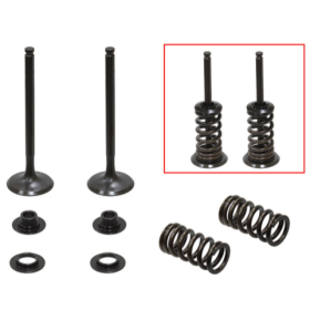 Psychic exhaust valves set (29x5.4x89.2mm) Husqvarna / KTM 350cc 12-19