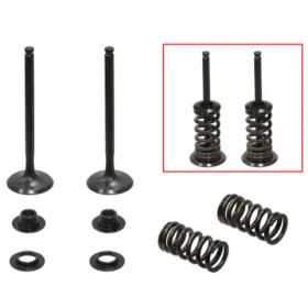 Psychic exhaust valves set (29x5.4x89.2mm) Husqvarna / KTM 350cc 12-19