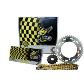 REGINA 525 ZRT grandinės ir žvaigždžių kompl. Honda CB 600 Hornet 98-06