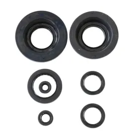 Athena Engine simmerings' sets Honda MUV / Pioneer / TRX 680-700 06-22
