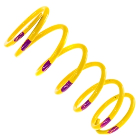 Team Spring Primary 160-260 Venom SKI DOO Yellow/ Purple