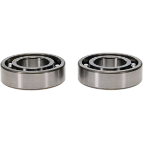 ALL BALLS Crankshaft Bearing Kit Yamaha TT-R / YFA / YFM 50-125 89-25