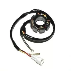ELECTROSPORT Stator HUSABERG / KTM 250-560cc 2000-2022