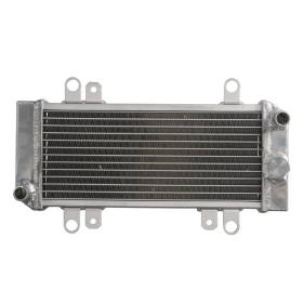 4Ride Radiator Kawasaki EX 300 13-17