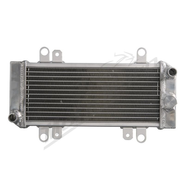 4Ride Radiator Kawasaki EX 300 13-17