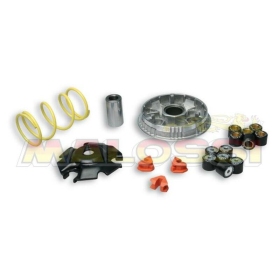 Variatoriaus kompl. MALOSSI Maxi​​​​​​​ Honda PCX / SH 125-150cc 4T