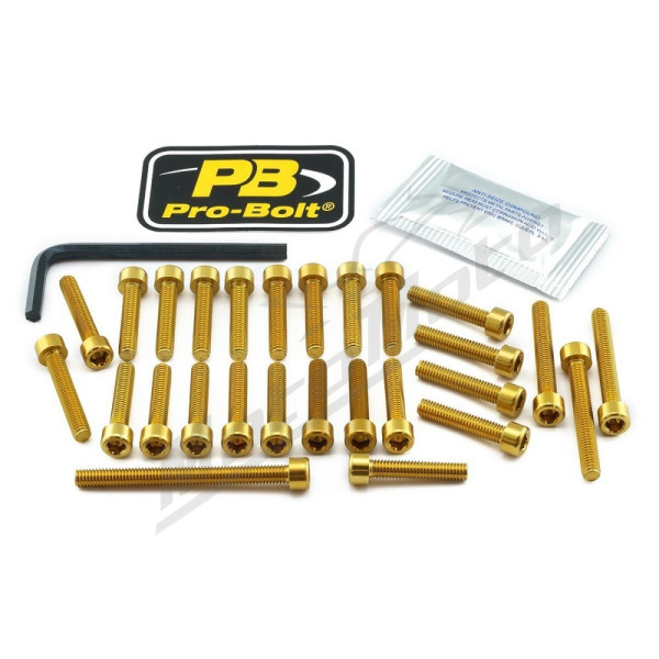 PRO BOLT Aluminium Engine Bolt Kit For Suzuki GSX-R 1000cc 12-16