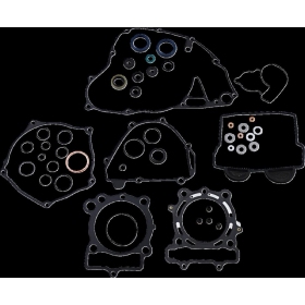 ATHENA Gasket Kit KAWASAKI KX 250 20