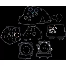 ATHENA variklio tarpinių komplektas KAWASAKI KX 250 20