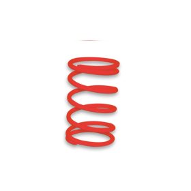 Variator spring MALOSSI MHR Piaggio 125-300cc 94->