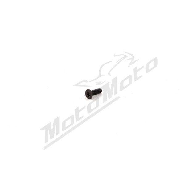 HINSON CLUTCH BASKET SCREW Ø6 15,5mm