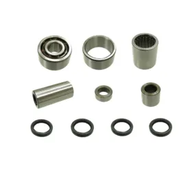BRONCO Swingarm repair kit Honda TRX 420-500 07-13