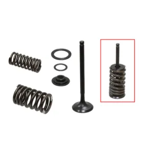 Psychic 2024/03 exhaust valves (valve set with springs and washers) Honda CRF 150-230cc 03-19