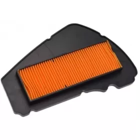 Oro filtro elementas ROMET LONGJIA RXL EURO4