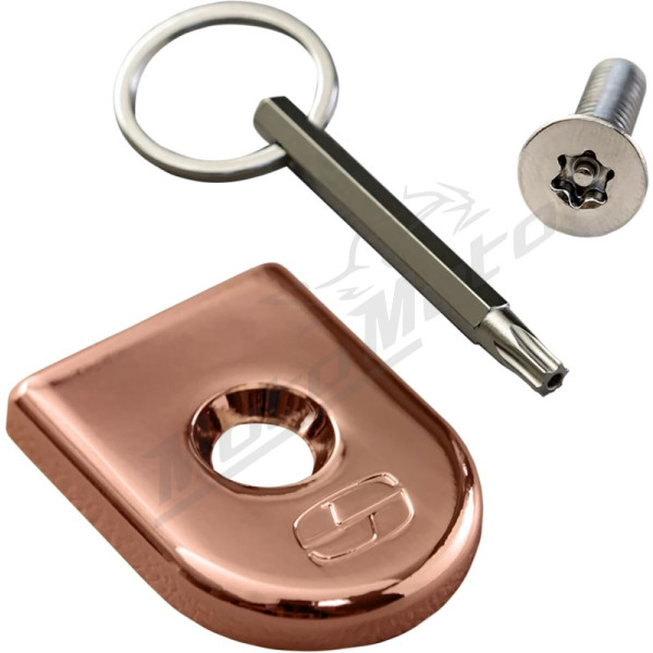 SADDLEMEN Security Seat Screw Set