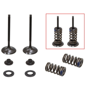 Psychic intake valves set. Kawasaki / Suzuki 250cc 04-06