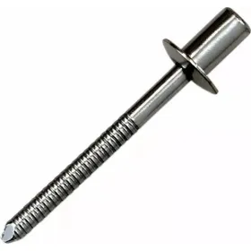 Akrapovic Rivet P-BR4 SS D4,8X12 1pc