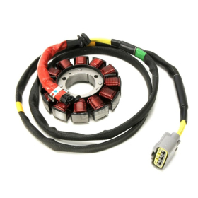 BRONCO Generatorius Cam Am Maverick / Commander 800-1000 20-21