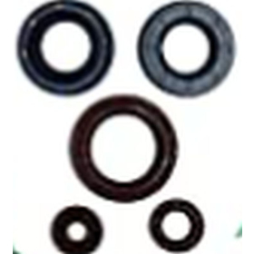Winderosa (vertex) set (kit) of engine seals Can-Am Outlander / Defender 450-500 15-20