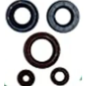Winderosa (vertex) set (kit) of engine seals Can-Am Outlander / Defender 450-500 15-20