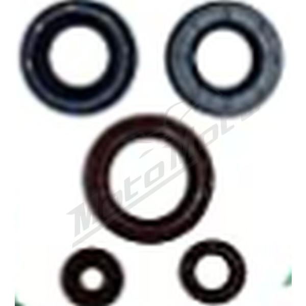 Winderosa (vertex) set (kit) of engine seals Can-Am Outlander / Defender 450-500 15-20