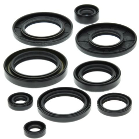 Winderosa (vertex) set of engine seals  Suzuki LT 250 R 87–92