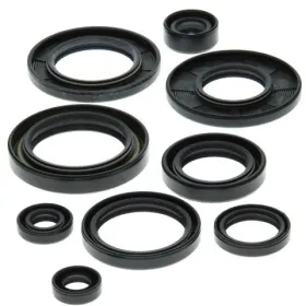 Winderosa (vertex) set of engine seals  Suzuki LT 250 R 87–92
