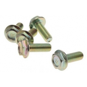 Bolts M8x1,25 (length 23mm) 5pcs