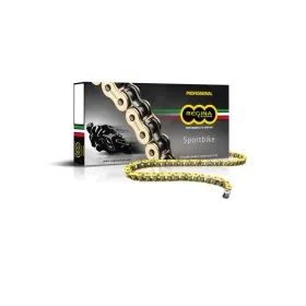 Regina 530 ZRP2 Z-ring chain 108 Links