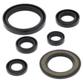 Winderosa (vertex) set (set) of engine seals Yamaha WR / YZ 450 14-19
