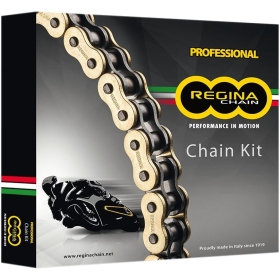 REGINA 525 ZRP Chain and Sprocket Kit Ducati ST4S 996 02-06