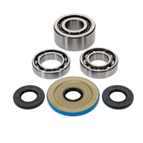 ALL BALLS Priekinio reduktoriaus remonto kompl. Can Am Commander / Defener / Outlander 700 22-24
