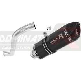 Exhaust kit Dominator HP1 BLACK BMW F650ST