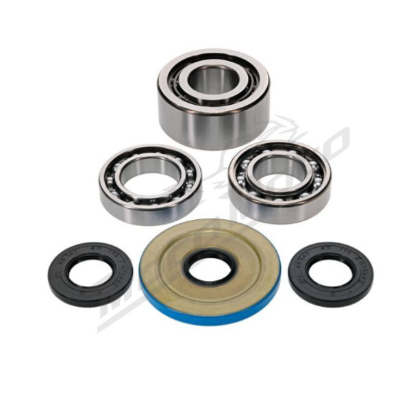 ALL BALLS Front differential repair kit Can Am Commander / Defener / Outlander 700 22-24