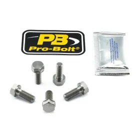 PRO BOLT Titanium Brake Rotor Mounting Bolt Kit Aprilia NA / RSV4 / SMV / Tuono750-1100 07-18