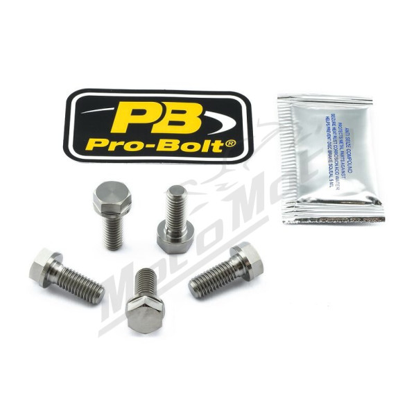 PRO BOLT Stabdžių disko tvirtinimo varžtų rinkinys Aprilia NA / RSV4 / SMV / Tuono750-1100 07-18