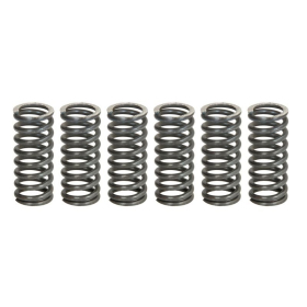 TRW Sankabos spyruoklių kompl. Yamaha FZS / SRX / WR / XJ / XJR / XV / YZF 250-750 80-16