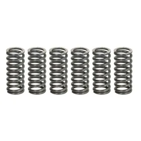 TRW Clutch springs set Yamaha FZS / SRX / WR / XJ / XJR / XV / YZF 250-750 80-16
