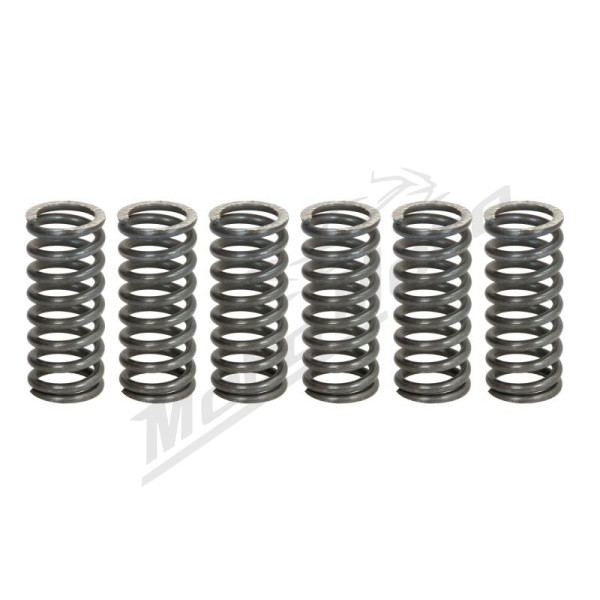 TRW Clutch springs set Yamaha FZS / SRX / WR / XJ / XJR / XV / YZF 250-750 80-16