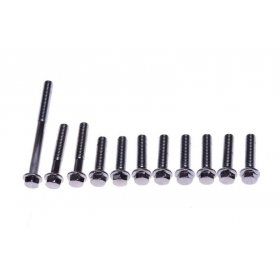 Bolts M6x1 (length 25 / 35 / 65mm) 11pcs