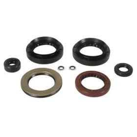 Winderosa (vertex) set (kit) of engine seals Arctic Cat 500 13-14